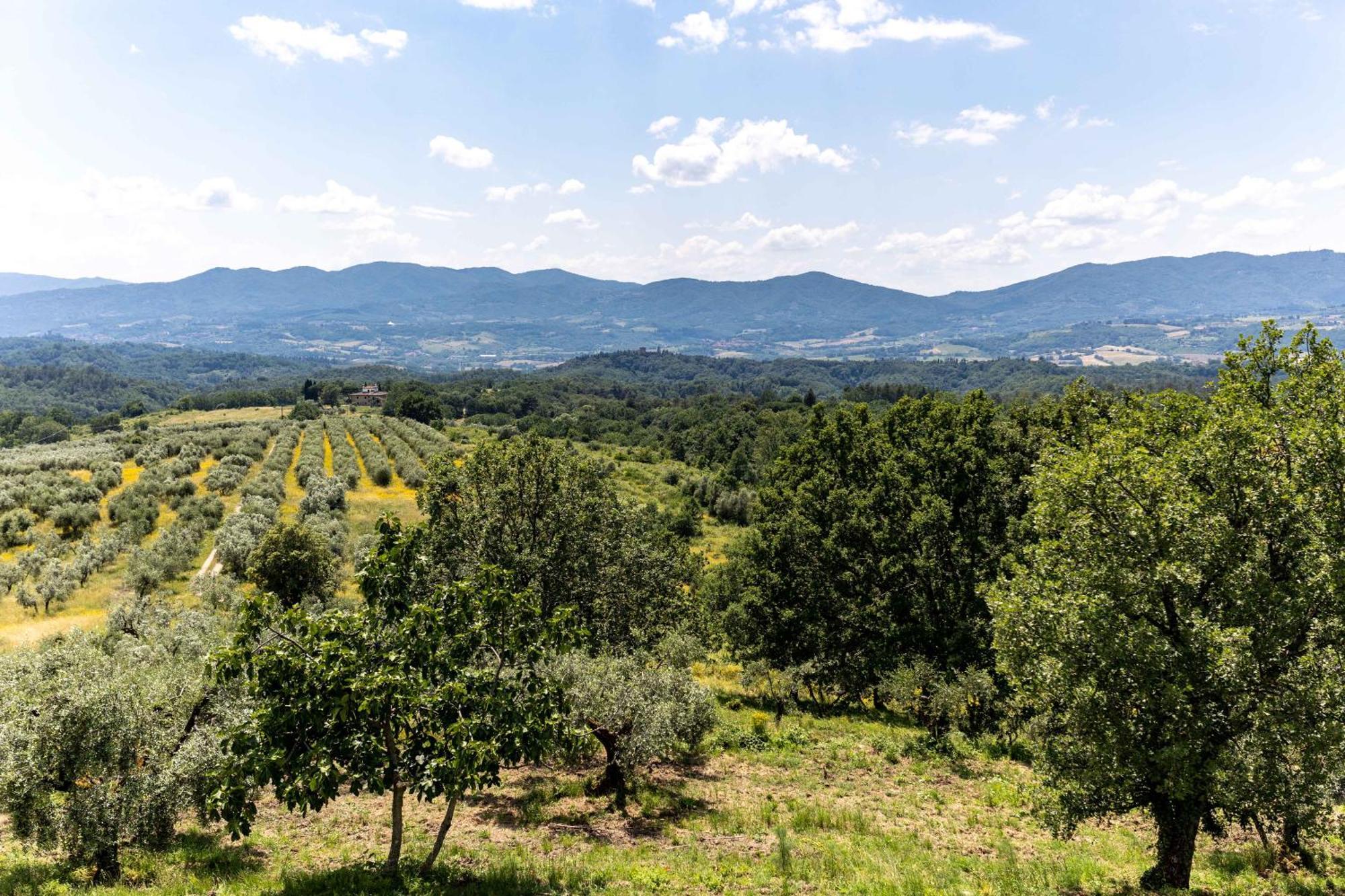 Fattoria Montalbano Villa Reggello Eksteriør billede